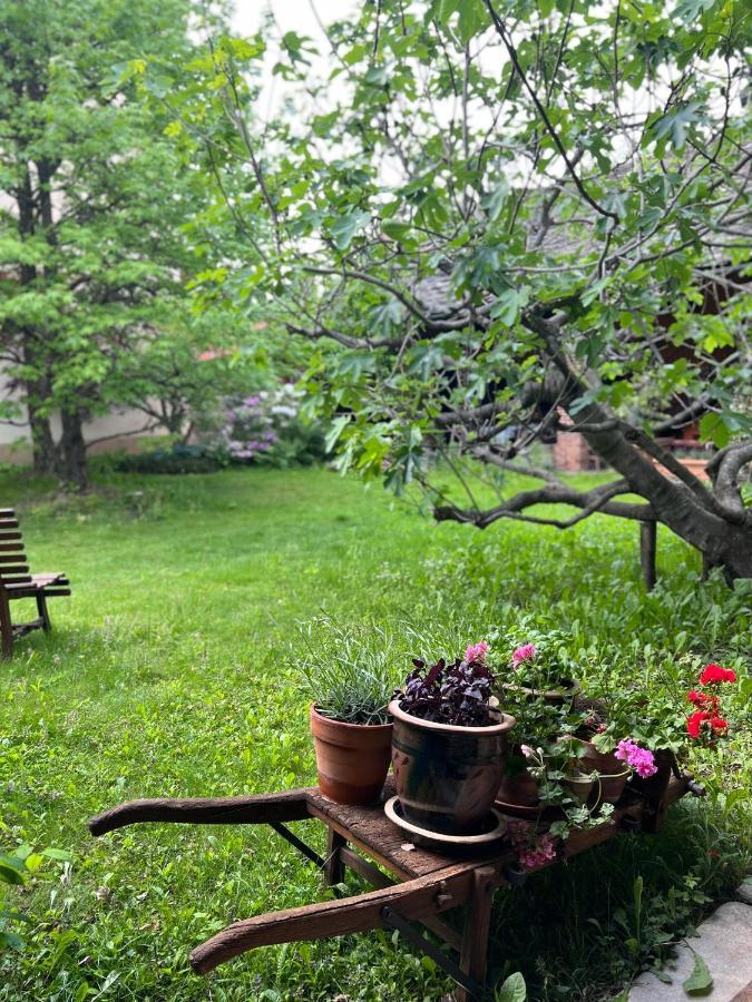 La Casa Arancione Hotell Boves Eksteriør bilde